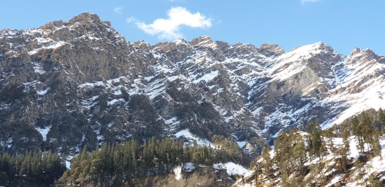 Backpackers Headquarter Manali 호스텔 외부 사진